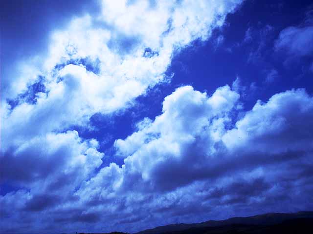 䕗݂ȉ_