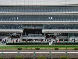 hanshin19