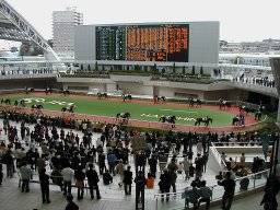 hanshin26
