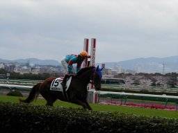 hanshin27