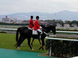 hanshin28