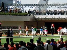 hanshin47