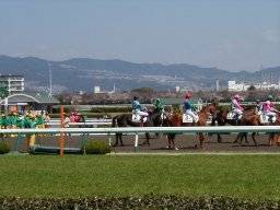 hanshin50