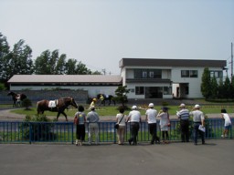 iwamizawa09