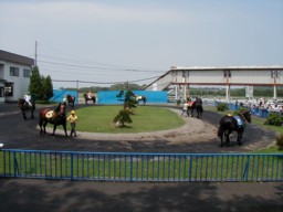 iwamizawa11