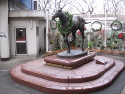 kasamatsu04