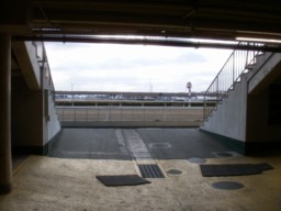 kasamatsu08