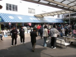 kasamatsu40