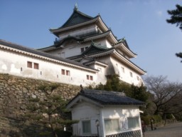 kasamatsu41