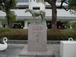 kyoto17