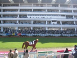 nakayama08