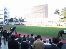 nakayama11