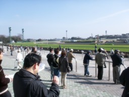 nakayama13