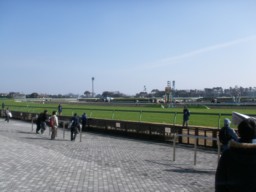 nakayama16