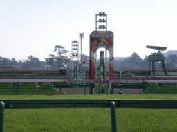 nakayama19