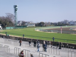 nakayama20