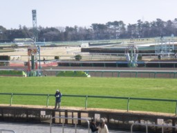 nakayama21