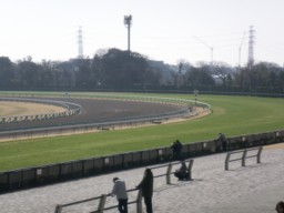 nakayama25