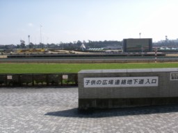 nakayama32