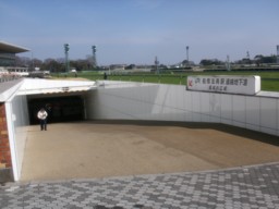 nakayama34