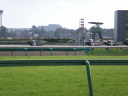 nakayama44