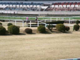 nakayama48