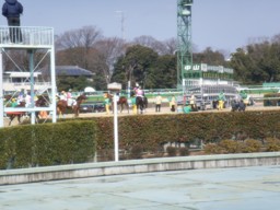 nakayama49