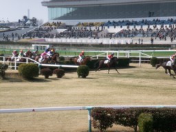 nakayama50