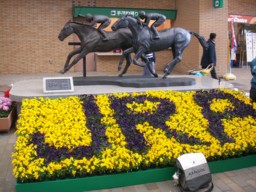 niigata05
