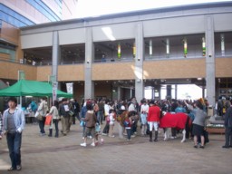 niigata07