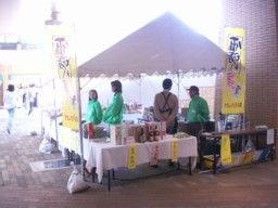 niigata13