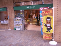 niigata14