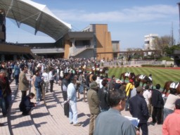 niigata22
