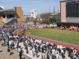 niigata23