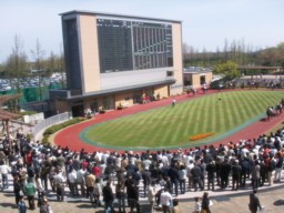 niigata24