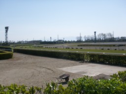 niigata29