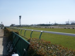niigata30