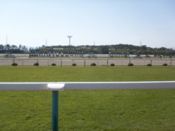 niigata31