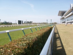 niigata32