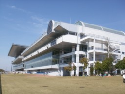 niigata33