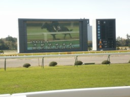 niigata34