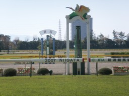 niigata35