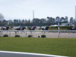 niigata36