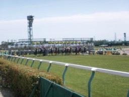 niigata42