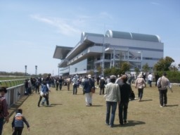 niigata45