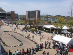niigata46