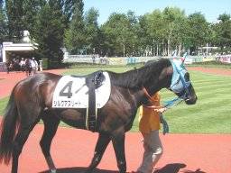 sapporo11