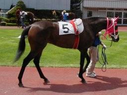 sapporo05