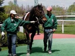 sapporo08