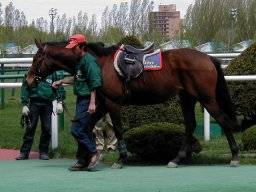 sapporo09